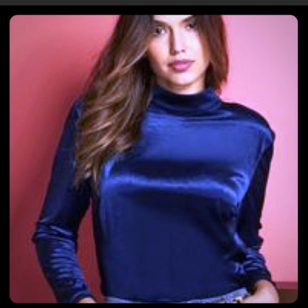 Anthology velvet long sleeve navy blue blouse